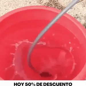 Encabezado