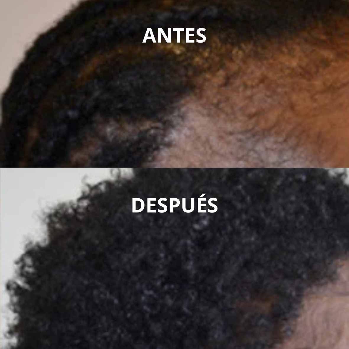 Encabezado
