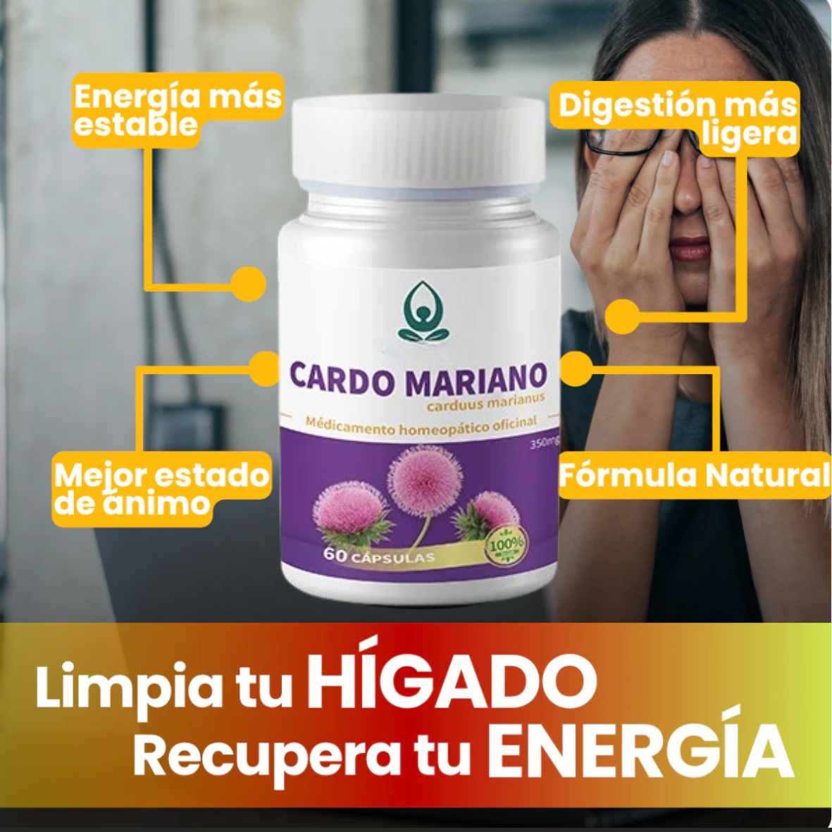 Encabezado